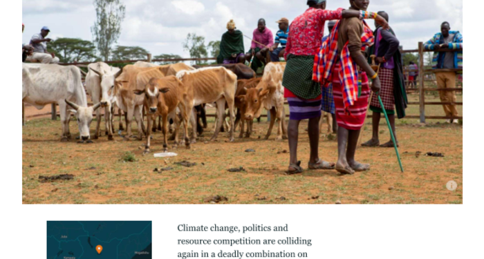 Drought, Violence and Politics: Inside Laikipia’s Cattle War – Kenya Drought, Violence and Politics: Inside Laikipia’s Cattle War – Kenya