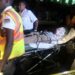 30 passengers killed in road accident in Kenya