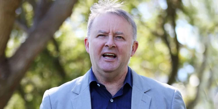 Government ‘lashes’ Opposition over energy policy inaction