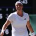 Ons Jabeur becomes first African woman to make Grand Slam singles final, Elena Rybakina vs Simona Halep, latest, updates