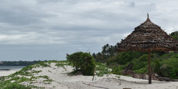 Kenya’s Kuruwitu corals are back, thanks to local conservation drive |