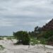 Kenya’s Kuruwitu corals are back, thanks to local conservation drive |