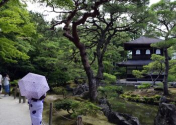 Rise in COVID cases prompts Japan to consider delaying travel program