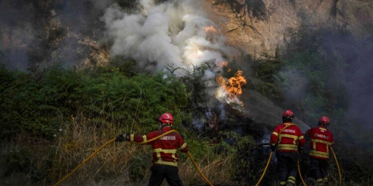 Forest fires rage in scorching southwest Europe Forest fires rage in scorching southwest Europe