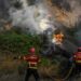 Forest fires rage in scorching southwest Europe