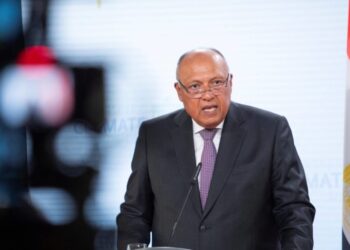 Egypt vows to fight against backslide of climate goals at COP27