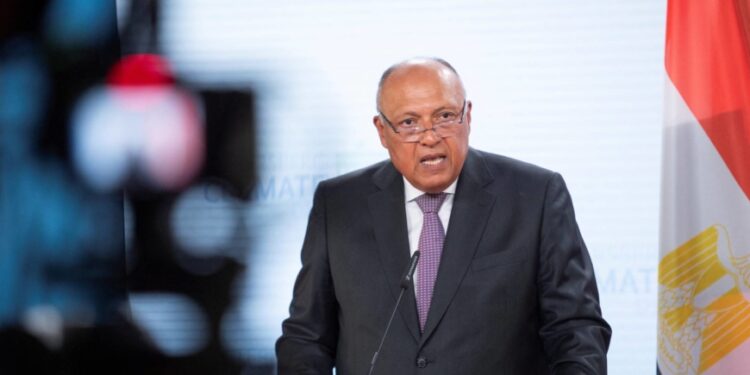 Egypt vows to fight against backslide of climate goals at COP27