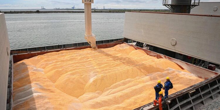 Ukraine and Russia sign deal to allow grain exports from blockaded Black Sea ports amid growing fears of global food catastrophe Ukraine and Russia sign deal to allow grain exports from blockaded Black Sea ports amid growing fears of global food catastrophe