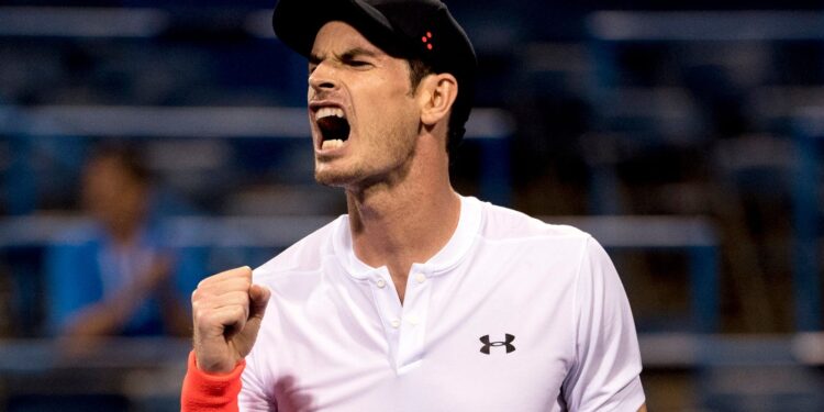 What’s next for Andy Murray? Washington & Montreal on the agenda before US Open | Tennis News