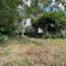 London woman claims city workers destroy garden London woman claims city workers destroy garden