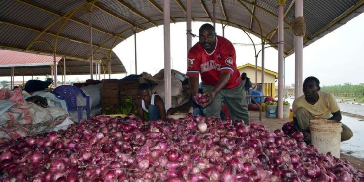 Tanzania, Kenya extend fastest trade growth run Tanzania, Kenya extend fastest trade growth run