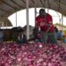 Tanzania, Kenya extend fastest trade growth run Tanzania, Kenya extend fastest trade growth run