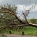 Violent thunderstorm hits southeastern Alberta near Medicine Hat Violent thunderstorm hits southeastern Alberta near Medicine Hat