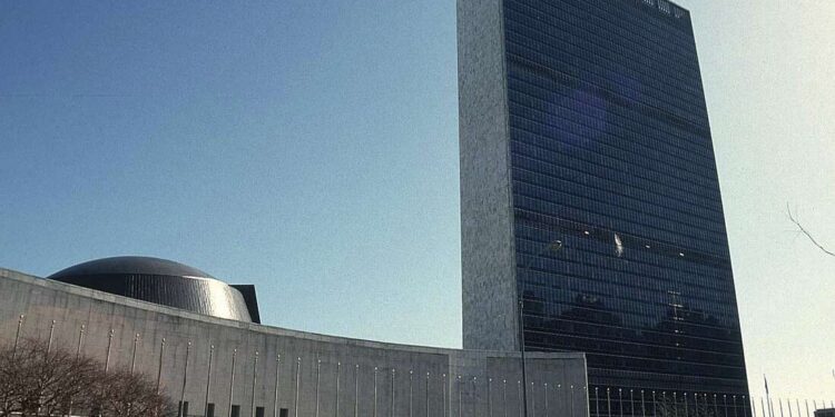 Kenya drops from list of top 10 suppliers of UN agencies