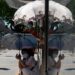 Heat waves are dominating summer, killing thousands, and fueling wildfires. The world needs to prepare for more.