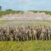 DVIDS – News – U.S. service members take part in joint-force marksmanship competition in Kenya DVIDS – News – U.S. service members take part in joint-force marksmanship competition in Kenya