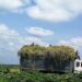 Sustainable research: Construction material created in Tartu, used in Kenya | News