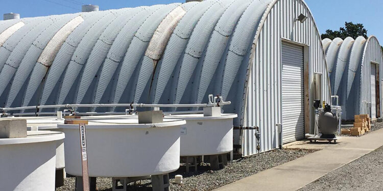 21,000 Fish Die in ‘Catastrophic Failure’ at California Research Center 21,000 Fish Die in ‘Catastrophic Failure’ at California Research Center