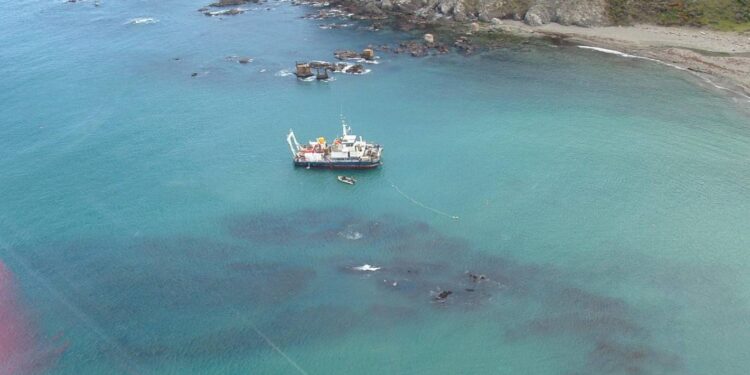 Explained: The New Zealand beach where the moon doesn’t move the sea