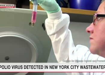 Polio virus detected in New York City wastewater