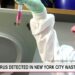 Polio virus detected in New York City wastewater Polio virus detected in New York City wastewater