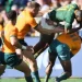Wallabies defeat Springboks 25-17 in Rugby Championship Test in Adelaide
