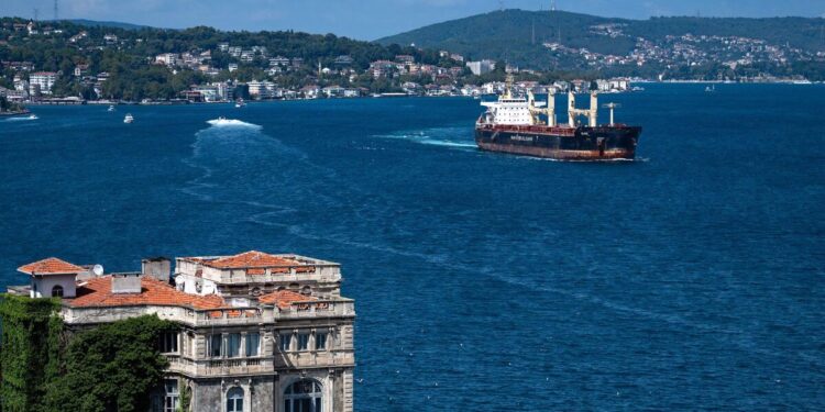 Tracker: ships carry grain from Ukraine to Middle East