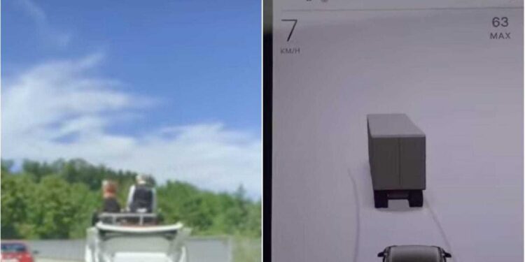 Video appears to show a Tesla’s Autopilot system confusing horse-drawn carriage for truck