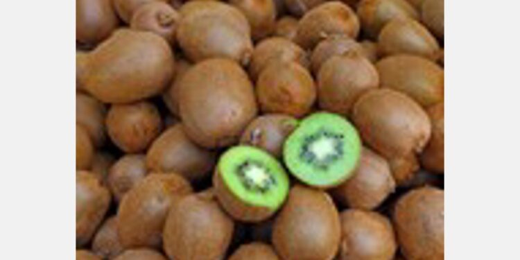 Asoex to denounce New Zealand internationally for ‘kiwi monopoly’ Asoex to denounce New Zealand internationally for ‘kiwi monopoly’