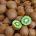 Asoex to denounce New Zealand internationally for ‘kiwi monopoly’ Asoex to denounce New Zealand internationally for ‘kiwi monopoly’