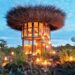 Best African Safari Experiences in South Africa, Kenya and More – The Hollywood Reporter Best African Safari Experiences in South Africa, Kenya and More – The Hollywood Reporter
