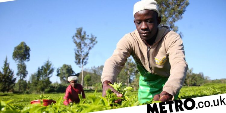 Kenyan tribes suing UK for £168,000,000,000 over colonial ‘land theft’ Kenyan tribes suing UK for £168,000,000,000 over colonial ‘land theft’