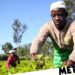 Kenyan tribes suing UK for £168,000,000,000 over colonial ‘land theft’ Kenyan tribes suing UK for £168,000,000,000 over colonial ‘land theft’
