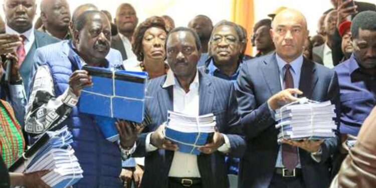 Inside petitions seeking to invalidate Kenya’s presidential election results Inside petitions seeking to invalidate Kenya’s presidential election results