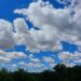 London, Ont. weather: seasonal temperatures and chance of showers London, Ont. weather: seasonal temperatures and chance of showers