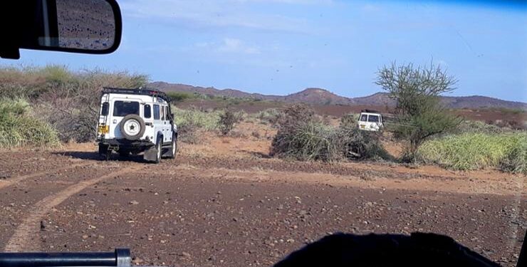 Searching for Clues: How Our Ancestors Evolved in Kenya – News Searching for Clues: How Our Ancestors Evolved in Kenya – News