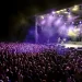 ‘Terrific idea’ to blame climate change for killing festivals