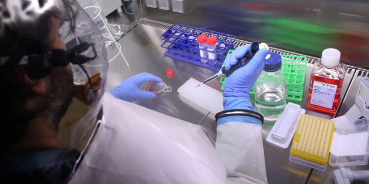 Child infected with Marburg virus dies in Ghana | World Health Organization News Child infected with Marburg virus dies in Ghana | World Health Organization News