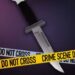 Jacksboro woman stabbed during mobile crisis service in LaFollette Jacksboro woman stabbed during mobile crisis service in LaFollette