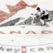 Hockey Canada looks to hire sport safety director focused on tackling abuse, harassment