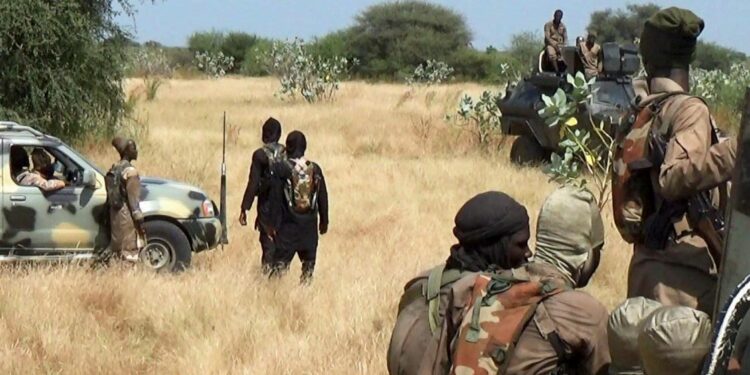 ISWAP terrorists kidnap six Borno farmers | The Guardian Nigeria News ISWAP terrorists kidnap six Borno farmers | The Guardian Nigeria News