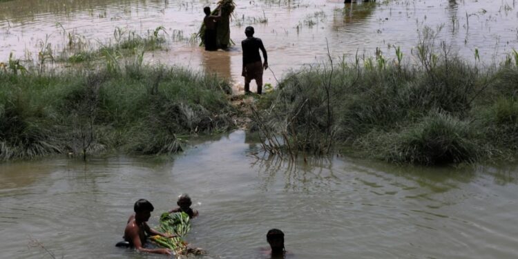 Deadly floods swamp farms in Pakistan, flushing away crops Deadly floods swamp farms in Pakistan, flushing away crops