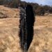 Suspected debris from SpaceX capsule crashes into farmland in Australia | Science & Tech News