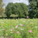 Kew Green Hotels Awarded a Green Accreditation by Venue Directory Kew Green Hotels Awarded a Green Accreditation by Venue Directory