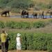 A closer look at the richness of South Africa’s biodi… A closer look at the richness of South Africa’s biodi…