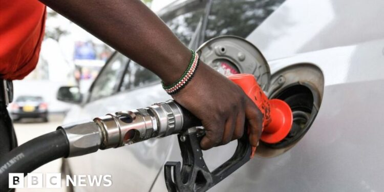 William Ruto: New Kenya president’s bold move to scrap subsidies – BBC William Ruto: New Kenya president’s bold move to scrap subsidies – BBC