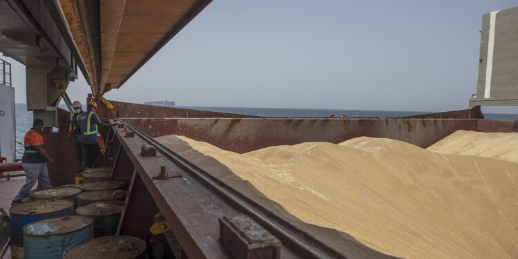 Ukraine says grain coming to Somalia, but Russia skeptical Ukraine says grain coming to Somalia, but Russia skeptical