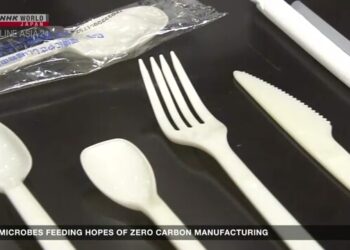 Microbes Feeding Hopes of Zero Carbon Manufacturing – NHK WORLD