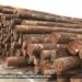 From Lumber Crunch to New Opportunities From Lumber Crunch to New Opportunities