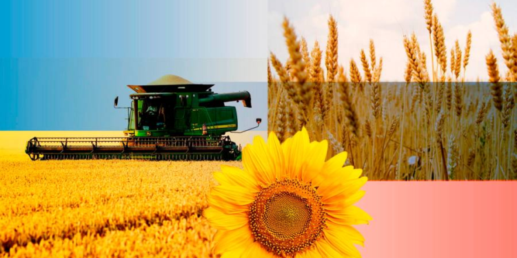 Live news: Ukraine expands grain exports via the EU